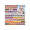 80-Piece Set, Varies Colors, Designs, Perfect for Small and Middle-Sized Pet Dogs