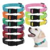 9 Pieces Adjustable Medium Dog Collars with Curved Plastic Buckle and Bright Colors