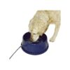 96 Ounces Heated Dog Water Bowl for Cold Weather Hydration