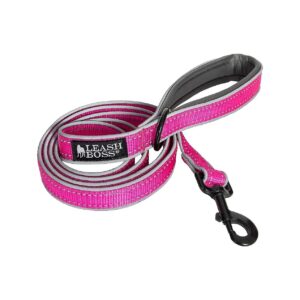 A 6ft Leash That's Both Comfortable and Durable for Large and Small Breed Dogs