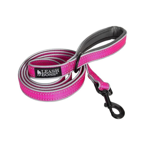 A 6ft Leash That's Both Comfortable and Durable for Large and Small Breed Dogs