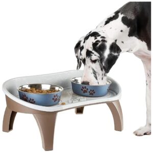 A Comfortable and Convenient Feeding Solution for Dogs and Cats - Raised Dog Bowl Stand