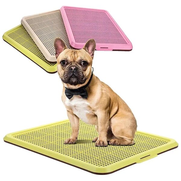 A Puppy Pee Pad Holder for Small to Medium Dogs that is Perfect for Potty Training