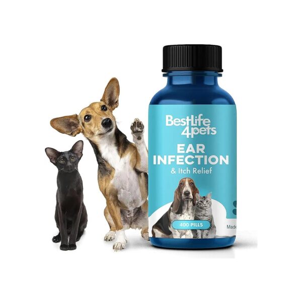 A Simple Solution for Relieving Ear Itching and Infections in Pets