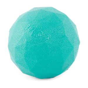 AGENT Tuff Pet Ball for Strong Chewers, Excellent for Indoor and Outdoor Play