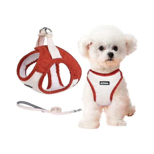 AIITLE No Pull Escape Proof Dog Harness with Safety Buckle and Leash