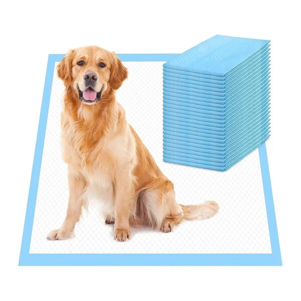 Absorbent 6-Layer Extra Large Dog Pee Pads for Training and Housetraining