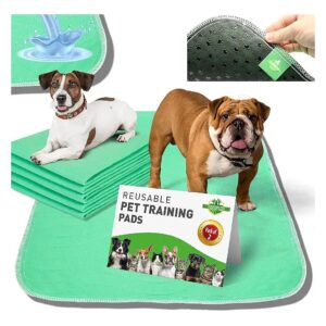 Absorbent Pee Pads for Dogs, 2 Piece Set of Washable Reusable Puppy Pads