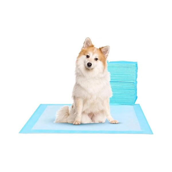 Absorbing and Leak-Proof Pet Training Pads for Small to Large Puppies and Dogs, 100-Count