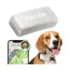 Accuracy Live GPS Tracking and Alerts for Unimaginable Pet Agility and Safety