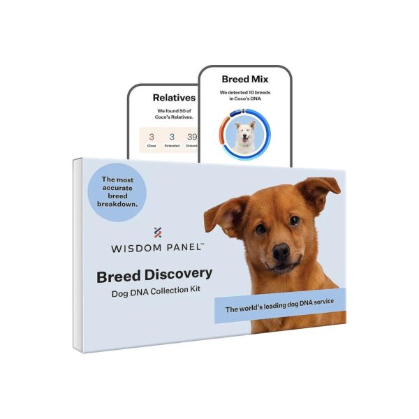 Accurately Identify Your Dog's Breed and Genetic Mix with Wisdom Panel Kit