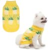 Acrylic Dog Sweaters with Pineapple Design for Small Dogs and Puppies Winter Wear