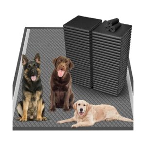 Activated Charcoal Floor Protection Mats 36 x