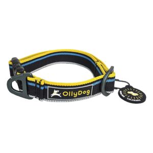 Adjust Buckle and Secure Leash Attachment