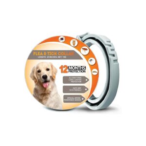 Adjustable 25-Inch Collars for Dogs with Buckle Closure and 12-Month Protection