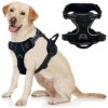 Adjustable Black Dog Vest Harness with 2 Leash Clips for Small Medium Canines