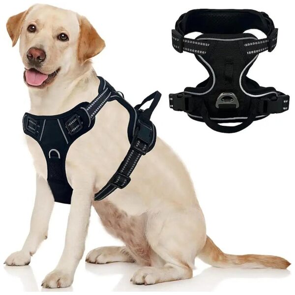 Adjustable Black Dog Vest Harness with 2 Leash Clips for Small Medium Canines