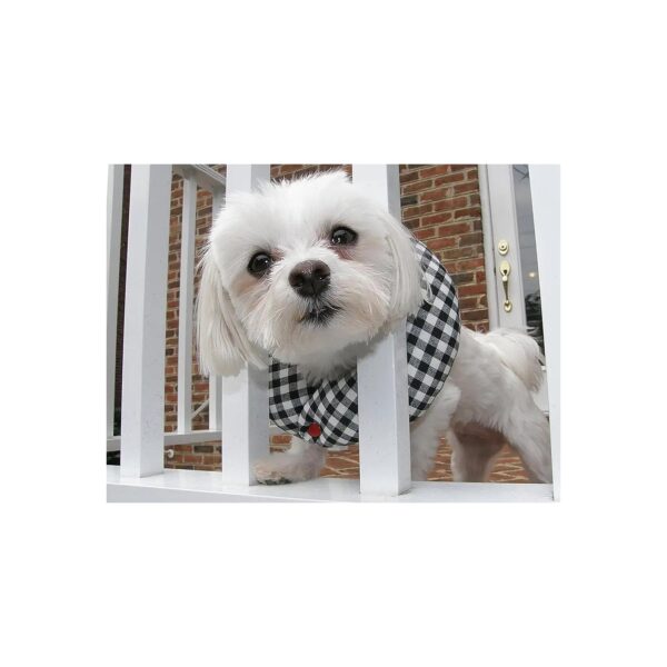 Adjustable Black and White Check Puppy Bumper for Secure Freedom