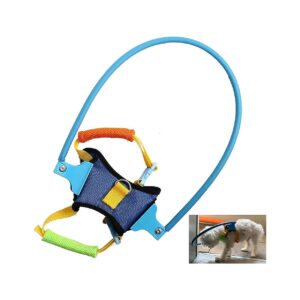 Adjustable Blind Dog Harness for Small to Large Breeds with Medium Size and Blue Color