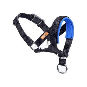 Adjustable Blue Dog Head Collar with Comfortable Fabric Padded Nose Rest and Soft Pads