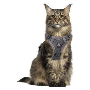 Adjustable Cat Carrier for Small to Medium Cats with Reflective Chest Straps