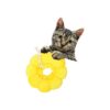 Adjustable Cat Recovery Collar Cat Cone Collar for Injury Healing