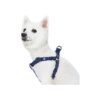 Adjustable Chest Strap Navy Blue Dog Harness for Small Dogs with Durable Nylon Webbing