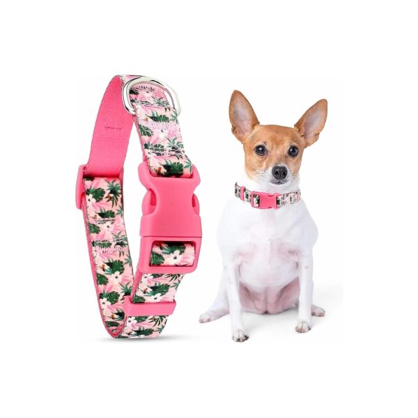 Adjustable Comfortable Dog Collar in Tropical Toucans Pattern for Small Dogs XS