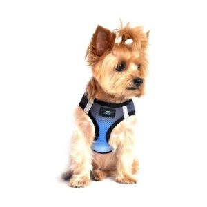 Adjustable Design and Reflective Strips for Increased Visibility during Nighttime Walks