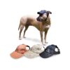 Adjustable Dog Baseball Cap for Small to XL Dogs with Ear Holes for Sun Protection