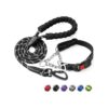 Adjustable Dog Collar and Leash Set for Small Medium Large Dogs