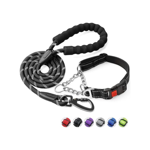 Adjustable Dog Collar and Leash Set for Small Medium Large Dogs