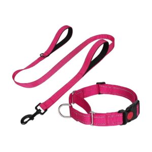 Adjustable Dog Collar and Leash for Medium Dogs with Soft Padded Handles