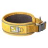 Adjustable Dog Collar for All Breeds with Quick Release Buckle and Reflective Piping