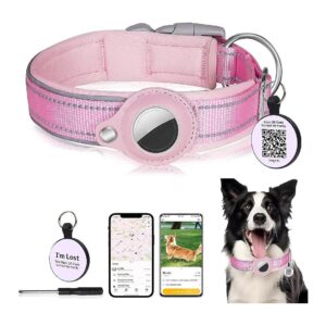 Adjustable Dog Collar with Airtag Holder and Pet Tag for Different Sizes