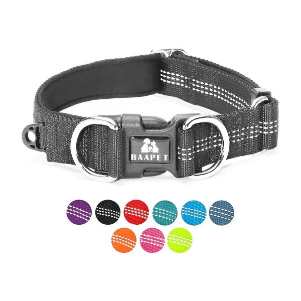 Adjustable Dog Collar with Dual D-Ring and ID Tag Hanger for Small Puppy to Large Dogs