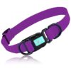 Adjustable Dog Collars with Double Buckle and D Ring for Small Medium Large Dogs Purple