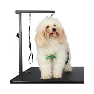 Adjustable Dog Grooming Arm for Small Medium Dogs at Home 35 Inch High Sturdy Metal