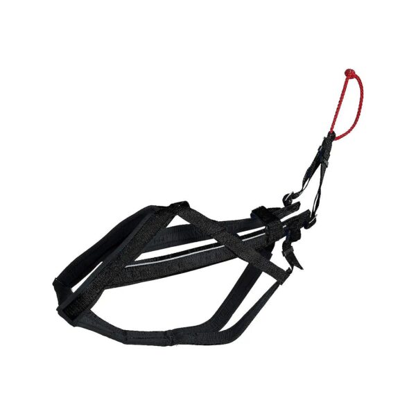 Adjustable Dog Harness for Canicross, Skijoring, and Bikejoring Activities