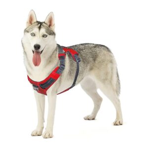 Adjustable Dog Harness with 2 Storage Pockets and Reflective Material