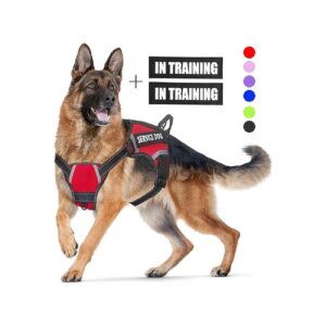 Adjustable Dog Harness with Handle for Easy Control Small Medium Large Breed Outdoor Use