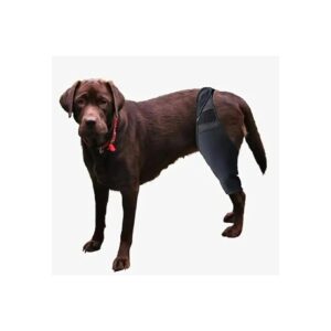 Adjustable Dog Hip Brace for Fast and Comfortable Recovery after Ligament Tear Surgery