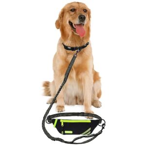 Adjustable Dog Jogging Belt with Zipper Pouch and Bungee Leash for Small to Large Dogs