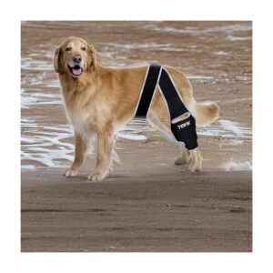 Adjustable Dog Knee Braces for Front and Back Legs Support