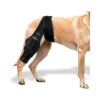 Adjustable Dog Leg Braces For Back Leg Cruciate Ligament Injury Support