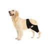 Adjustable Dog Leg Knee Braces for Arthritis Hip Dysplasia ACL Tear