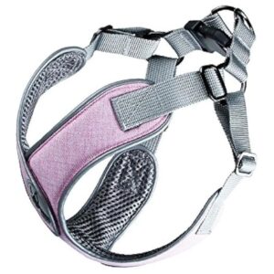 Adjustable Dog Pulling Vest Harness with Padded Collar for Small Medium Dogs