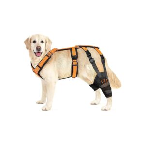 Adjustable Dog Rear Hock Leg Brace for Comfort and Healing