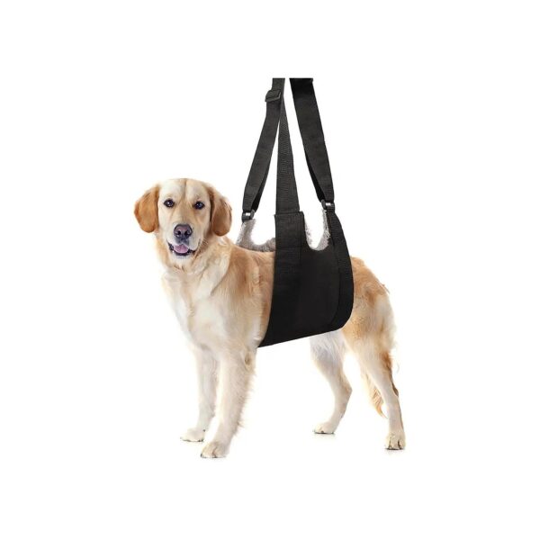 Adjustable Dog Sling for Medium and Large Dogs Hind Leg Support