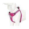 Adjustable Dog Vest Harness with Easy On Off Slide Straps for Walking